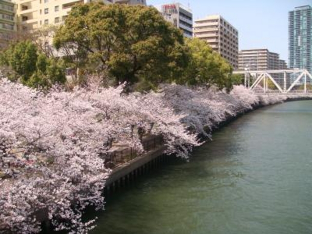 �єn���V�{����_�єn���V�{����