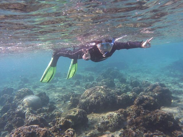 �C���ɍ������ތ������������ꂢ�ł����B_��g�ݐؐ�墊C�̗V�я��@�Ȃ��䂭���