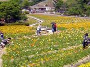 [񂳂̕xcюs_ƌTo[t@[̓eʐ^1