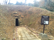 tuch7̋IɕyL̋u̓eʐ^5