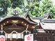 やんまあさんの平野神社の投稿写真3