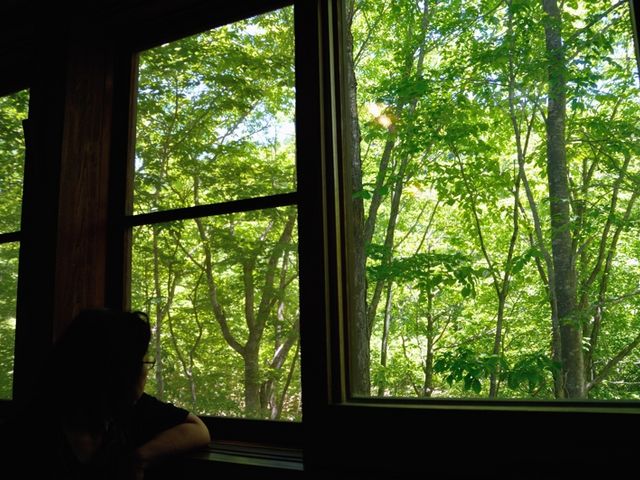 O͗ΈF_߂̓ʊف@Ȑh