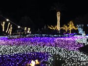 koko̍]̓TGERbLO̓eʐ^1