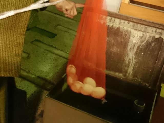 ����������ɐZ����Ƃ���_��򉷐�i���쌧��򉷐򑺁j