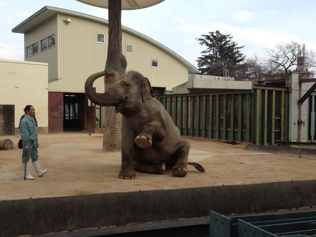 �_�ˎs�����q������