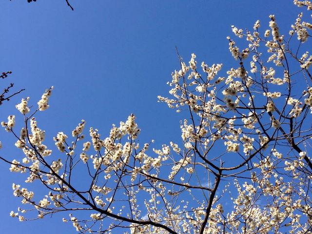 ���c����q��L�O����