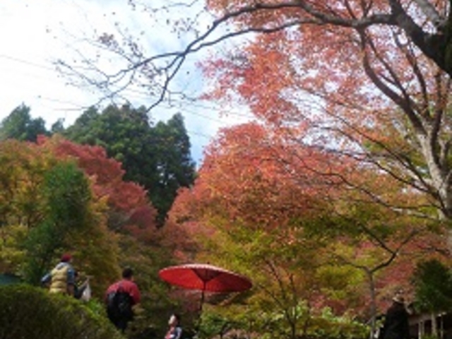 赤い傘の休憩処_神護寺