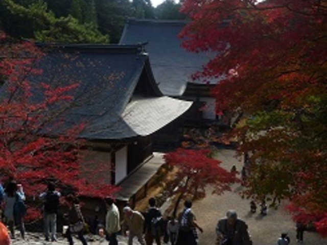 境内多数の人_神護寺