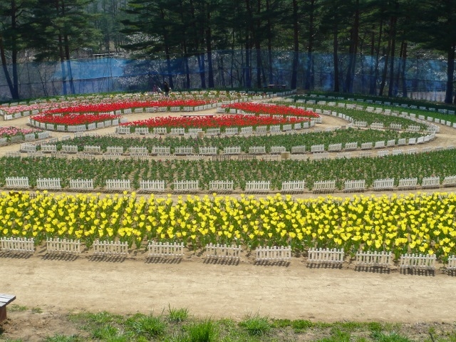 ��J��_���t�H���X�g�p�[�N�E�y�ă`���[���b�v��