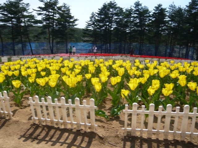 ��J��_���t�H���X�g�p�[�N�E�y�ă`���[���b�v��