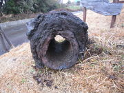 Ղ񂳂̈ɓ哇ΎRق̓eʐ^3