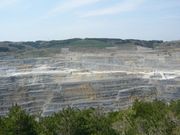 Ђ낳̔ˍzRЂ̓eʐ^4