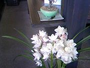 Ӂ[񂳂̒ SԂ̓eʐ^2