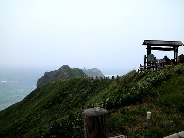 2015�N7��_�_�Ж�