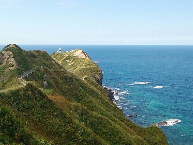 2014�N8��_�_�Ж�