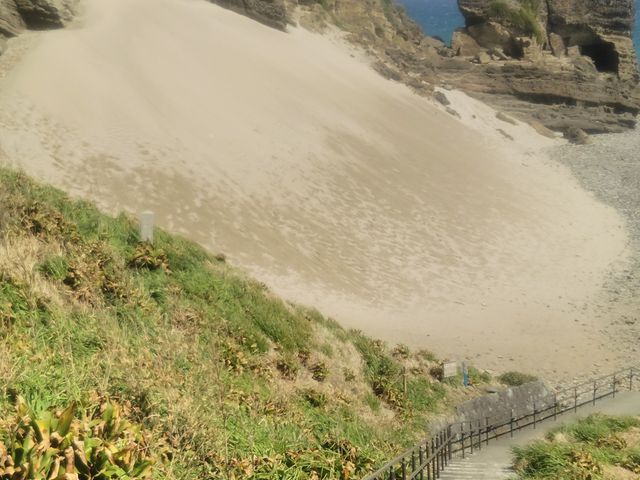 ���޽����_�c���T���h�X�L�[��