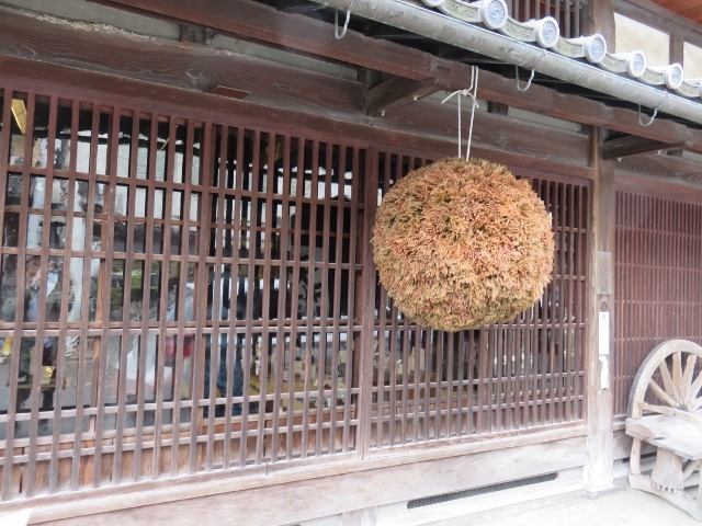 �O��_�y�c��