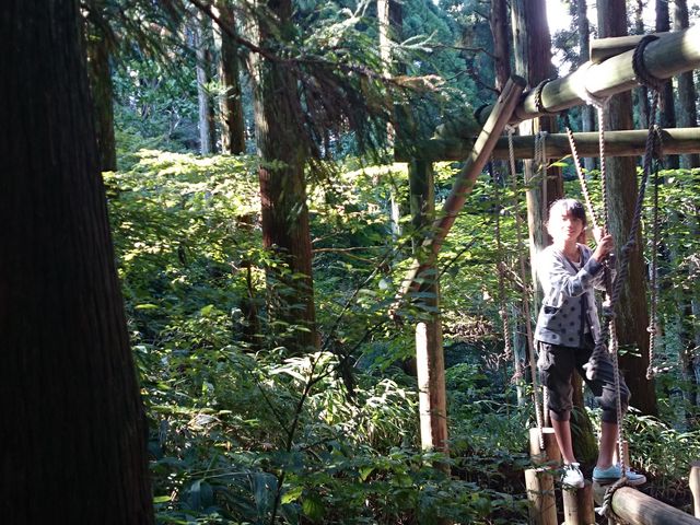 �i�ςł��B_�Z�b�R�A�X���`�b�N�p�[�N GREENIA