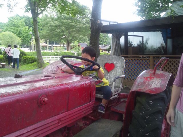 �܂����̖q��