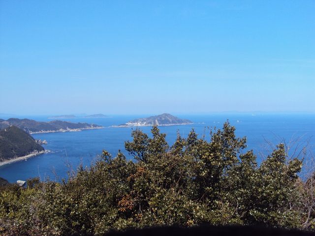 �ނ炳�񂳂�̊��ˍ�̓��e�ʐ^4