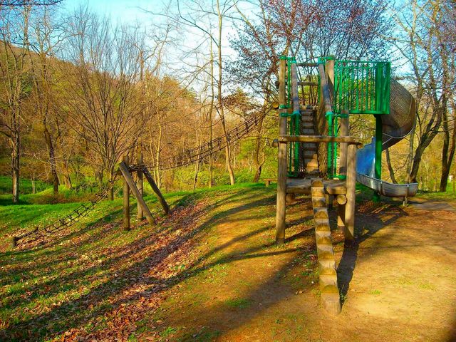 茶臼山自然植物園 アクセス 営業時間 料金情報 じゃらんnet