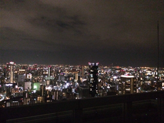 ~cXJCrE󒆒뉀W]̎ʐ^1