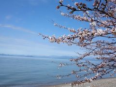 華さんの琵琶湖（滋賀県長浜市）への投稿写真1