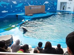 mipo̐䂤݂̓mقւ̓eʐ^1