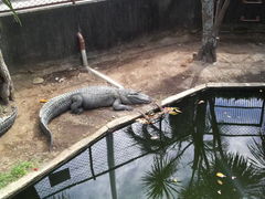 mikku̔Moiijւ̓eʐ^1