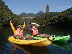 肳aquastyleւ̓eʐ^1