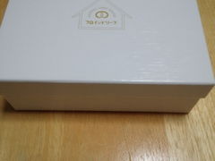 ����������̃t���C���h���[�u ���c�X�ւ̓��e�ʐ^1