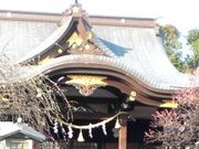 ӂ݂Ђł񂳂̐VV_k_Ђ̓eʐ^1