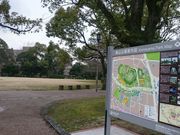 񂿂񂳂̋TRiRRsj̓eʐ^1