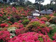 aya10̉Dω̃ccW̓eʐ^1