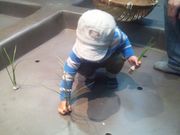 Ђ낱̓ʎjՁ@oCՂ̓eʐ^1