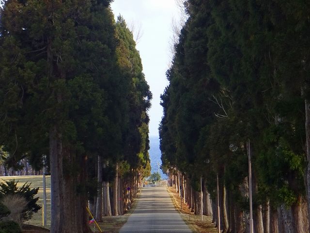 �U��Ԃ�ƍ��܂Œʂ��Ă������̐�ɐ^���ȊC�������܂�����_�����V�g�[���̐����C���@�i�g���s�X�g�C���@�j