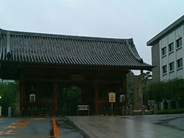 �d�v������������܂��B_�썑��