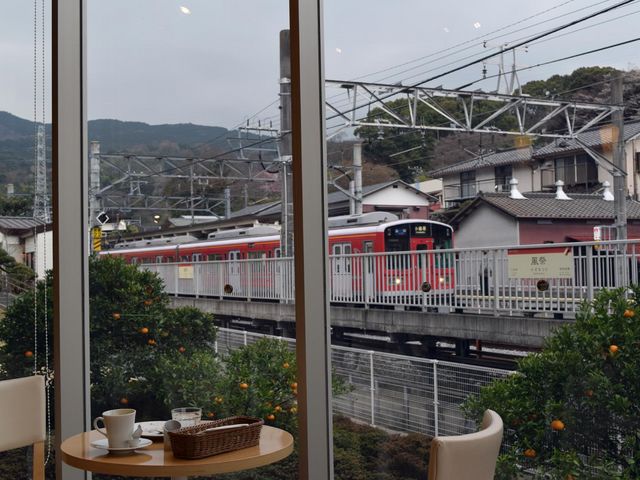 JtG͕Չw̗lq߂܂B_A ܂ڂ̗ Vbv&Xg  