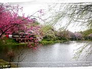 snowwhite̎Ocr̍̓eʐ^1