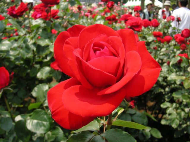 �s���_��A������