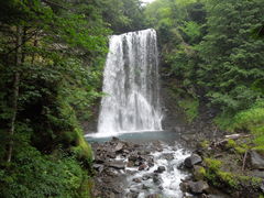 ekkȏPܘY̑ւ̓eʐ^1