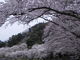 御嶽さんの海津大崎の投稿写真1