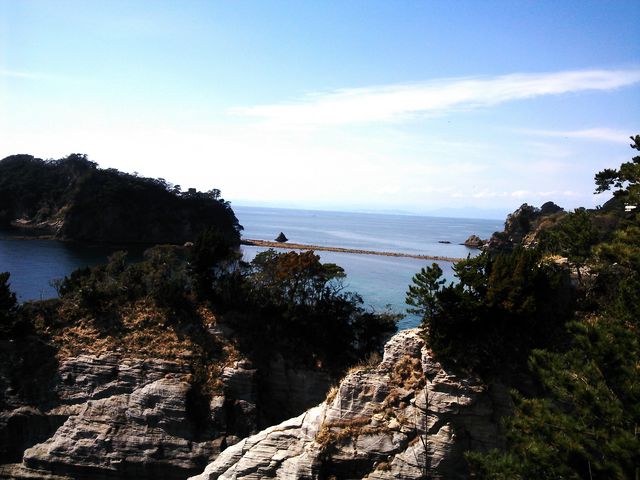 ���R�̋�_���P���V����