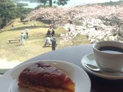 }[~[̐s߂̏̍̓eʐ^2