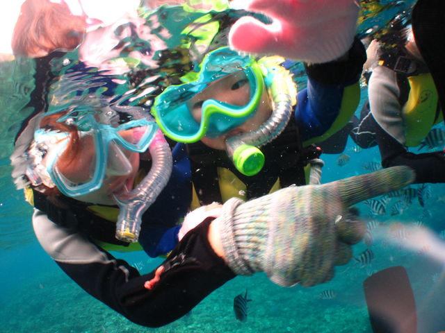 �T�΂��V���m�[�P�����O���̌��I_�{�C�X�v���X