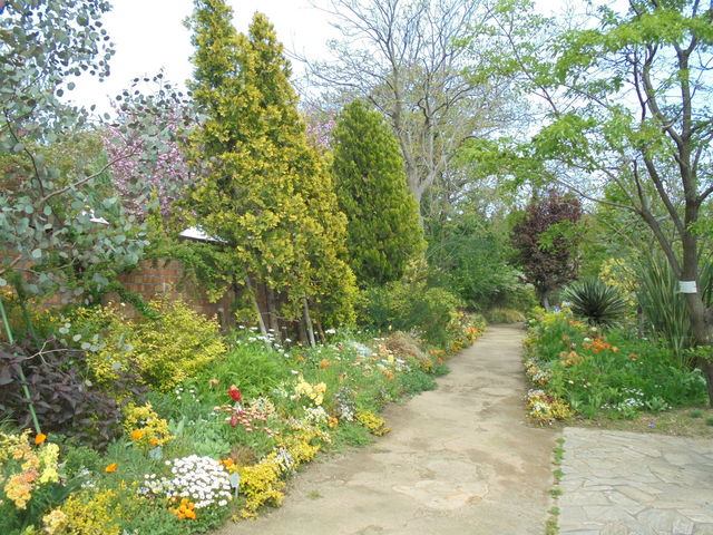 �S���̋����t���[�����K�[�f��_�����t���[�����K�[�f���A���W�F