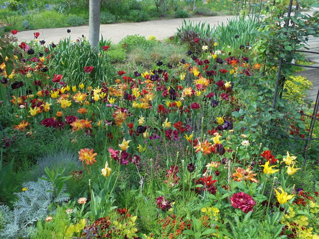 �S���̋����t���[�����K�[�f��_�����t���[�����K�[�f���A���W�F