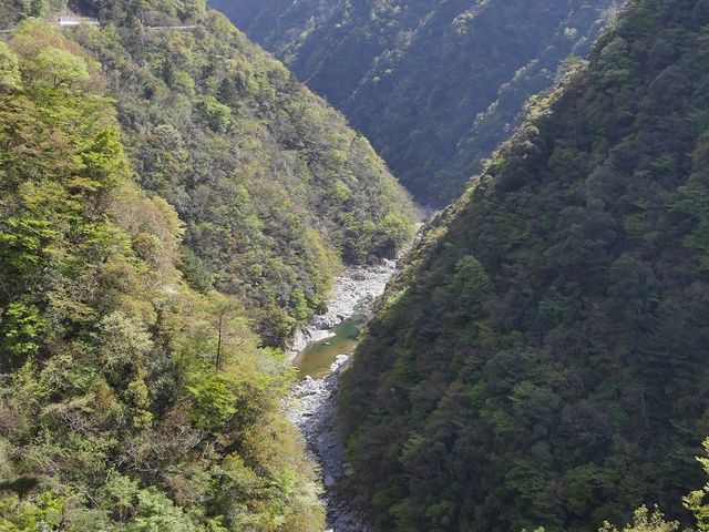 W]䂩̒߁Bʐ^㕔ɌRQ̃K[h[܂B_cJk