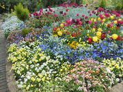 kyoukőt[K[fAWF̓eʐ^3