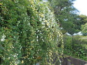 kyoukőt[K[fAWF̓eʐ^6